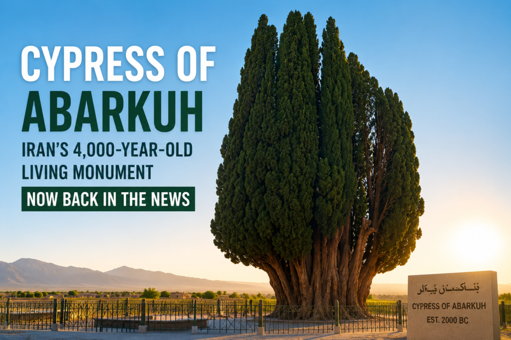 Simple featured image of the ancient Cypress of Abarkuh in Iran at golden hour, showing the massive historic tree with desert mountains in the background and text highlighting it as Iran’s 4,000-year-old living monument.